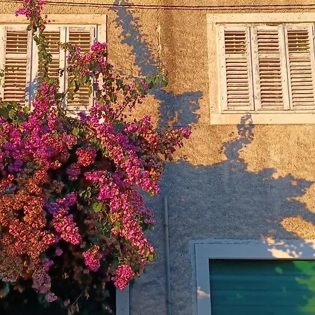 Bertie's Apartment